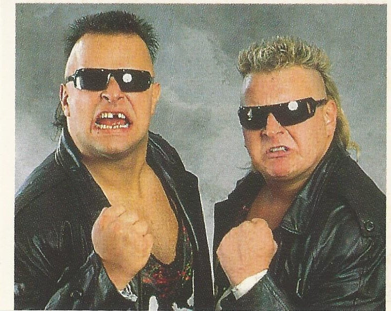 WWF Merlin Stickers 1991 Nasty Boys #119