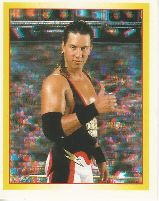 WWF Merlin Stickers 1995 123 Kid #119