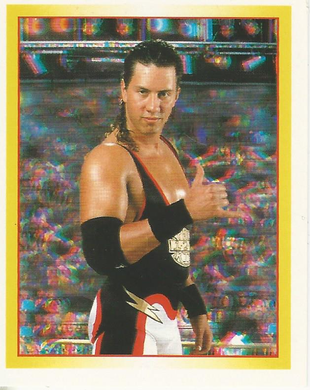 WWF Merlin Stickers 1995 123 Kid #119