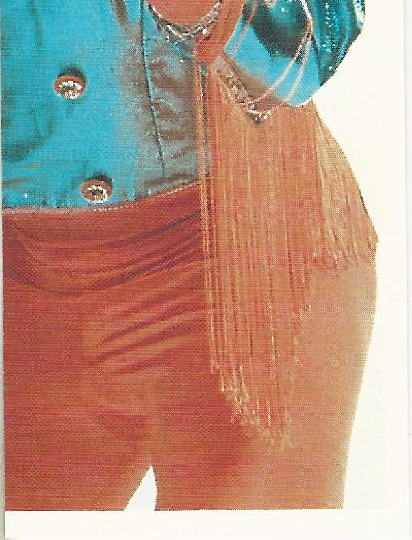 WCW Euroflash 1992 Sticker Sting #11