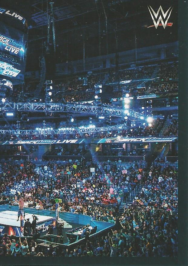 WWE Panini 2022 Sticker Collection Crowd #11