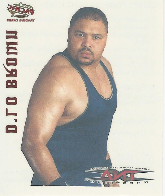 TNA Pacific Tattoo Transfer D-Lo Brown #11