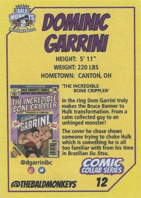 Dominic Garrini