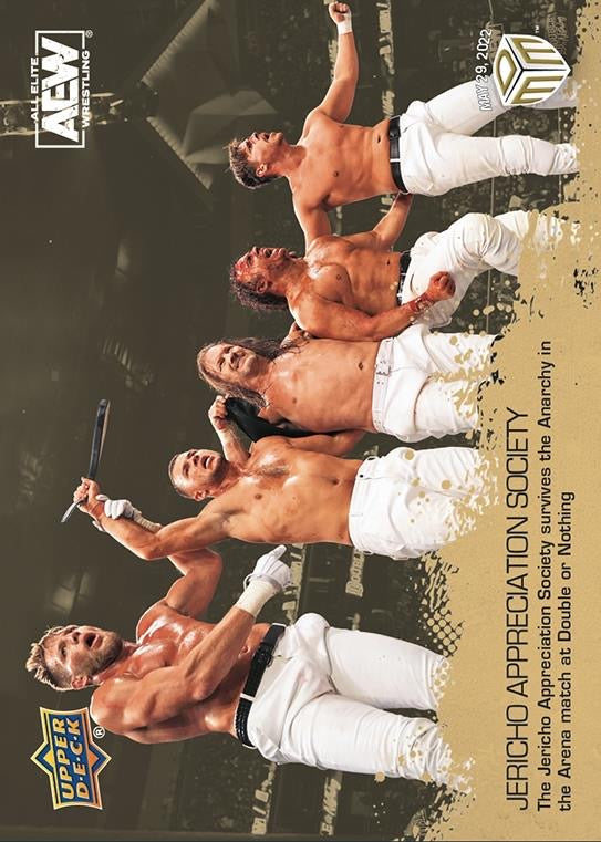 Jericho Appreciation Society – the Jericho Appreciation Society Survives the Anarchy in the Arena Match at Double or Nothing
