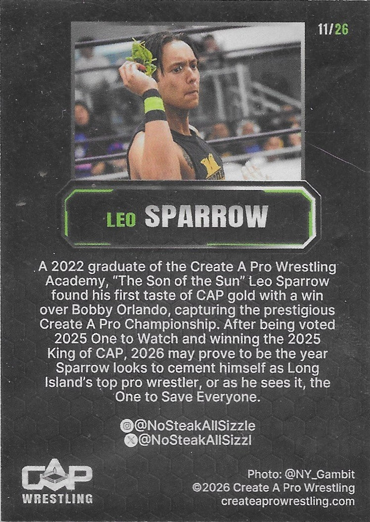 LEO Sparrow