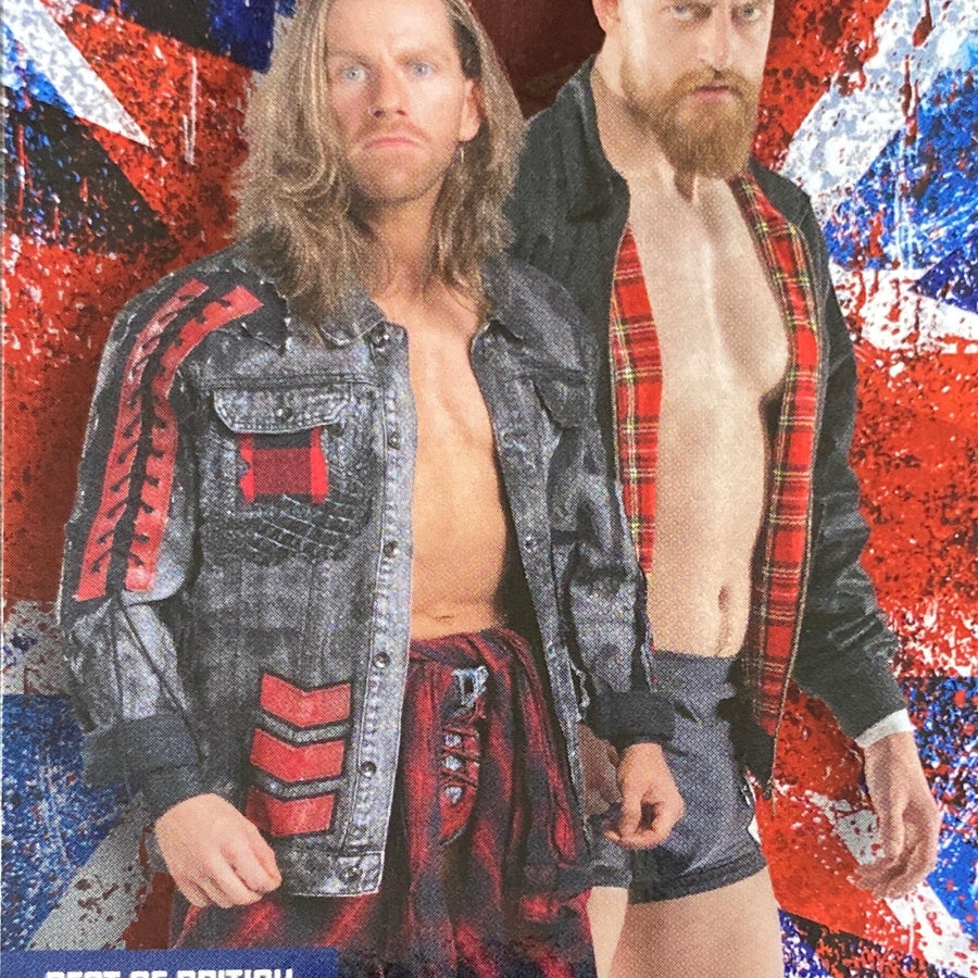 Grizzled Young Veterans