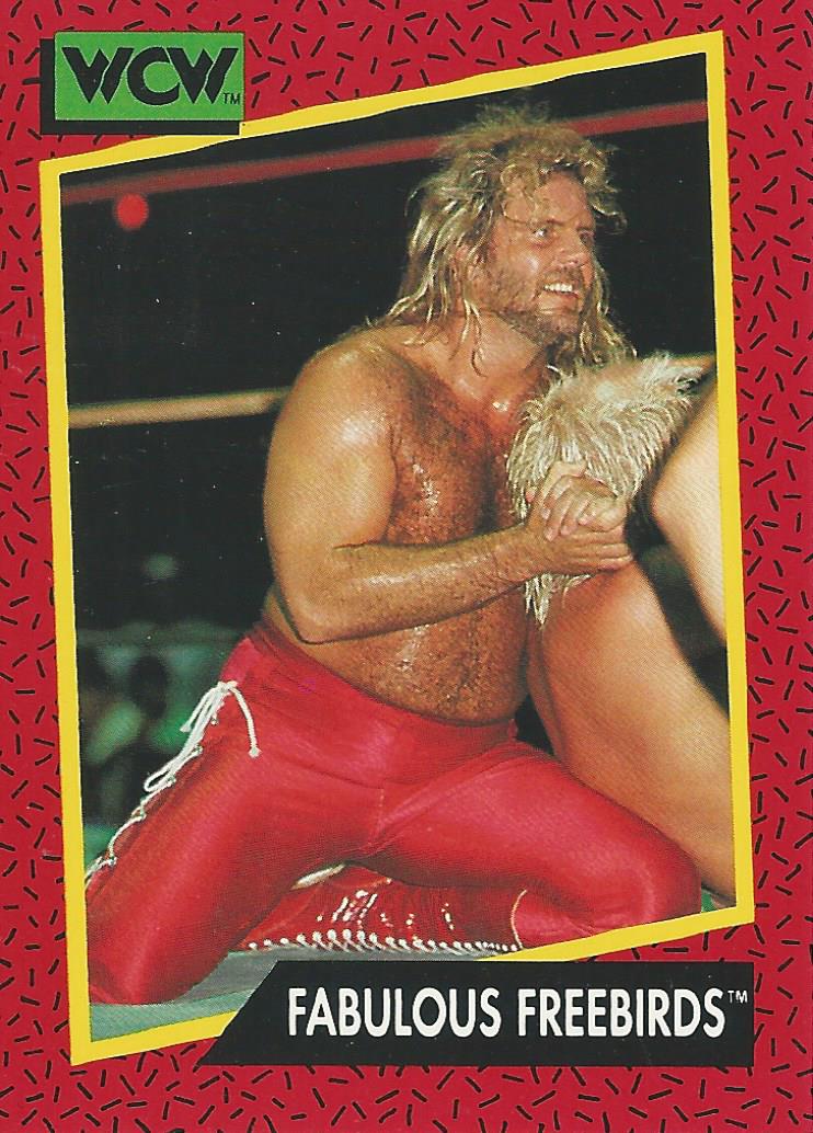 WCW Impel 1991 Michael PS Hayes #120