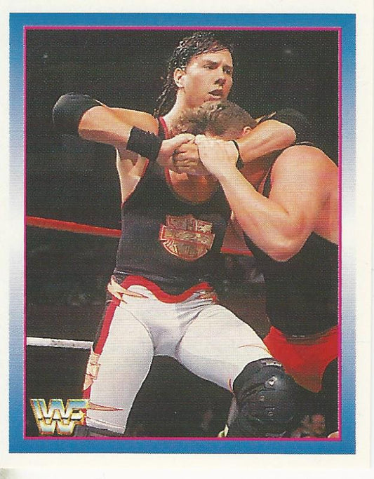 WWF Merlin Stickers 1995 123 Kid #120