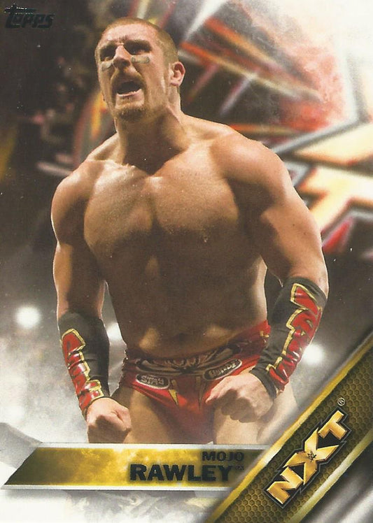 WWE Topps 2016 Mojo Rawley #20