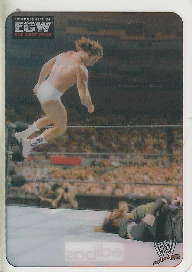WWE Edibas Lamincards 2006 Rene Dupree #120