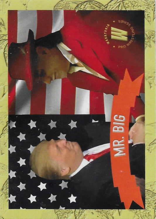 MR. Big trading card PW Catalog