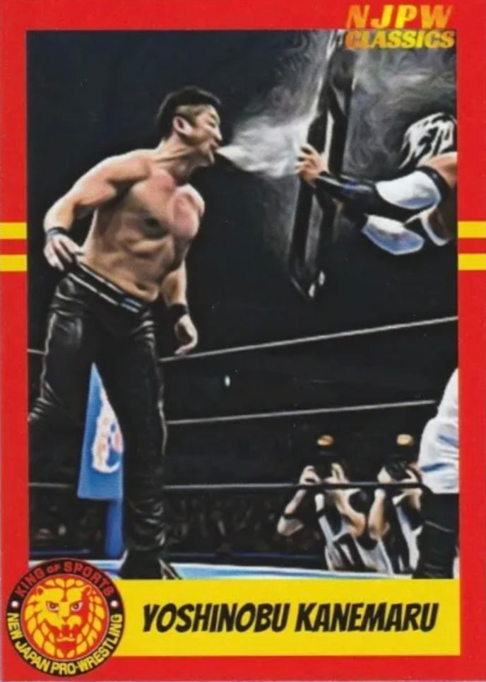 Yoshinobu Kanemaru