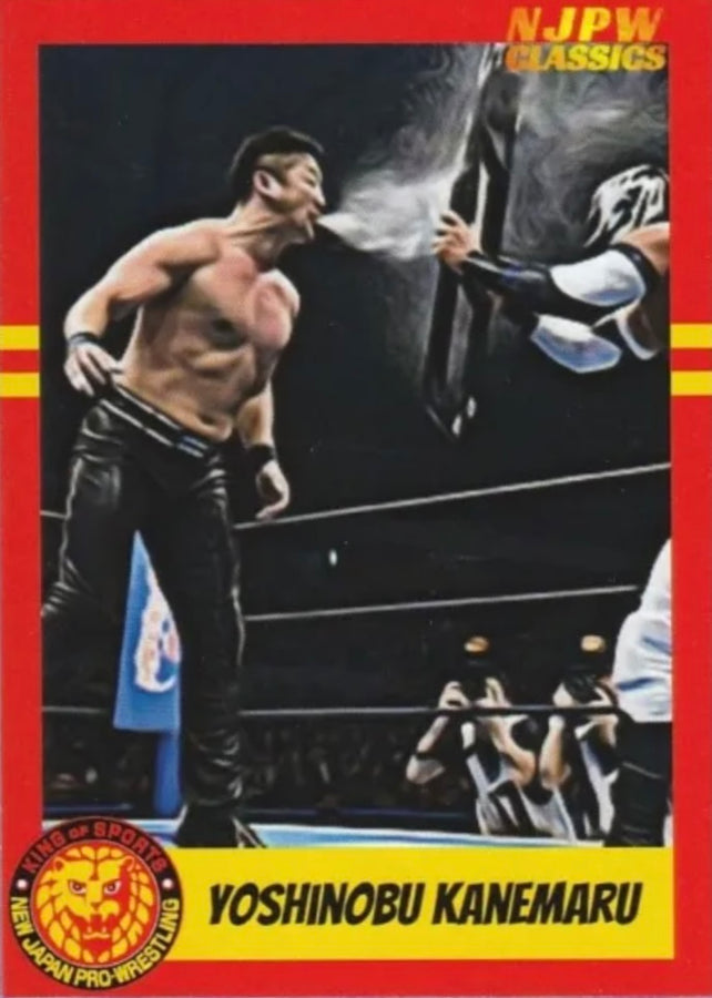 Yoshinobu Kanemaru