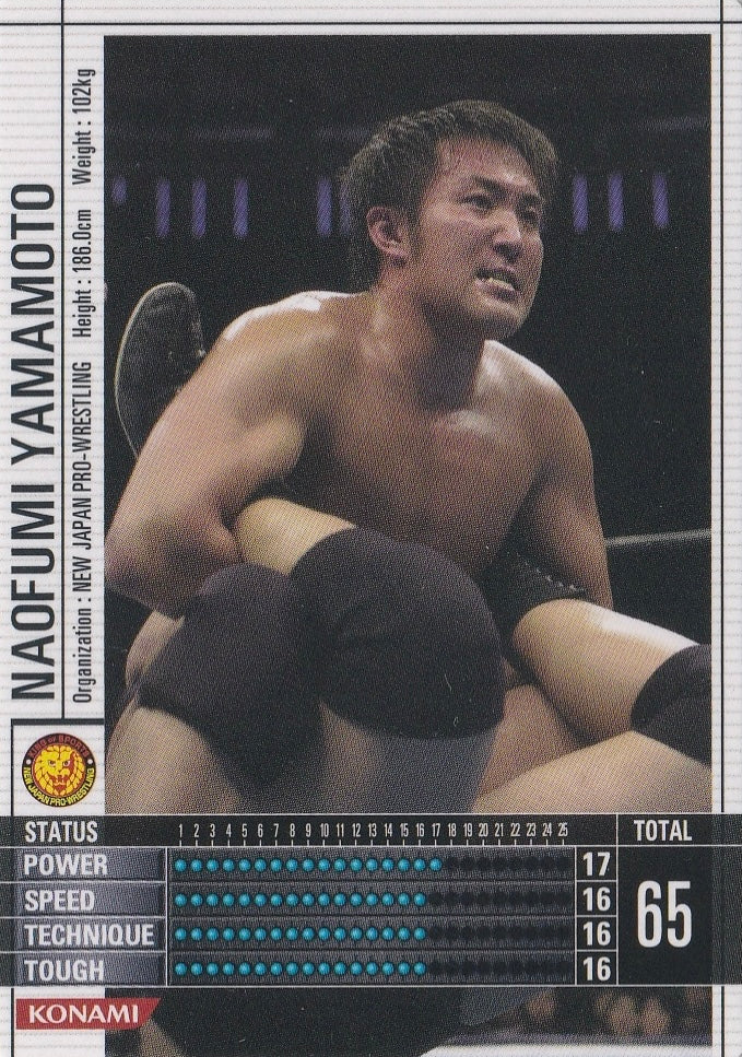 Naofumi Yamamoto