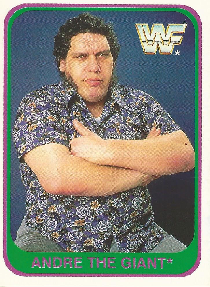 WWF Merlin 1991 Andre the Giant #121