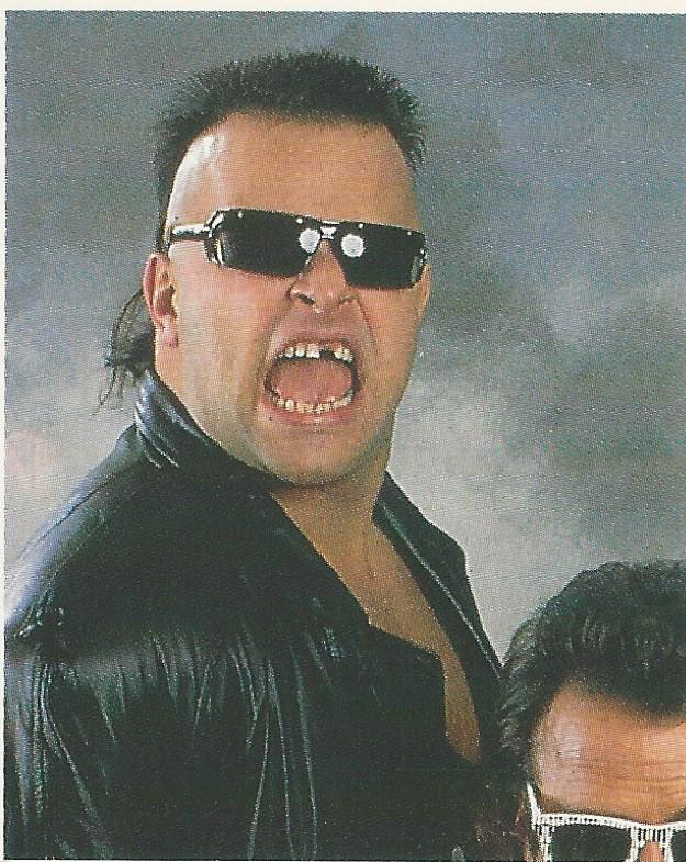 WWF Merlin Stickers 1991 Nasty Boys #121