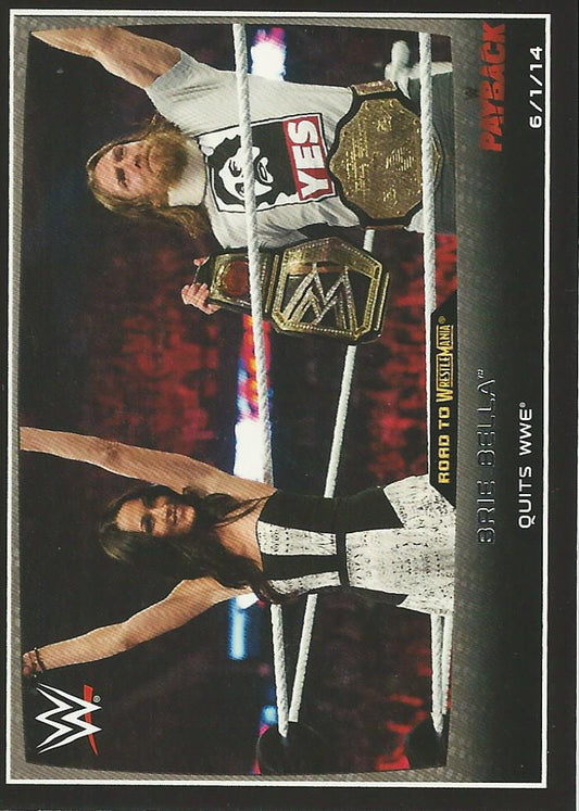 WWE Topps Road to Wrestlemania 2015 Daniel Bryan and Brie Bella #21