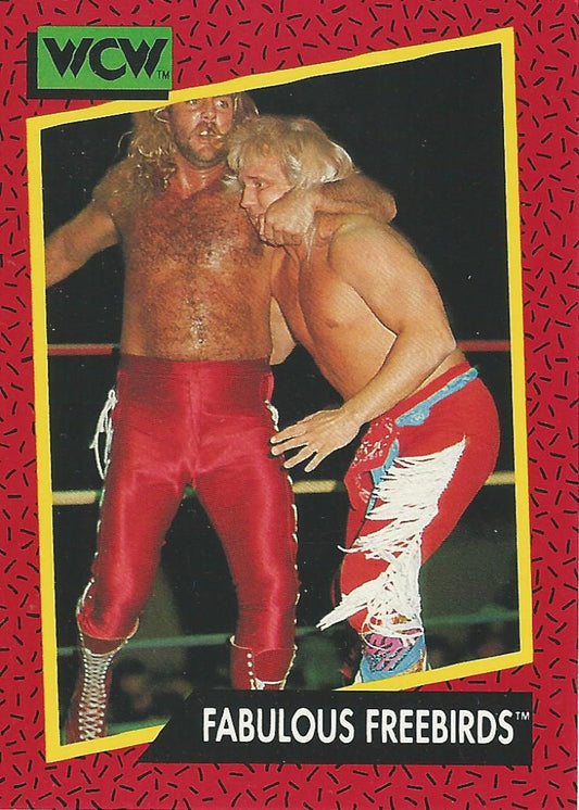 WCW Impel 1991 Michael PS Hayes #121