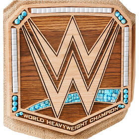 Daniel Bryan Eco-Friendly WWE Championship Replica Title