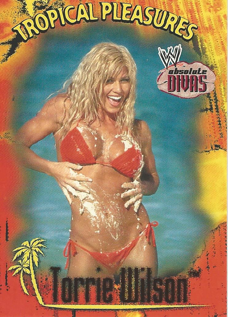 WWE Fleer Absolute Divas 2002 TP 7 of 10 Torrie Wilson trading card PW Catalog