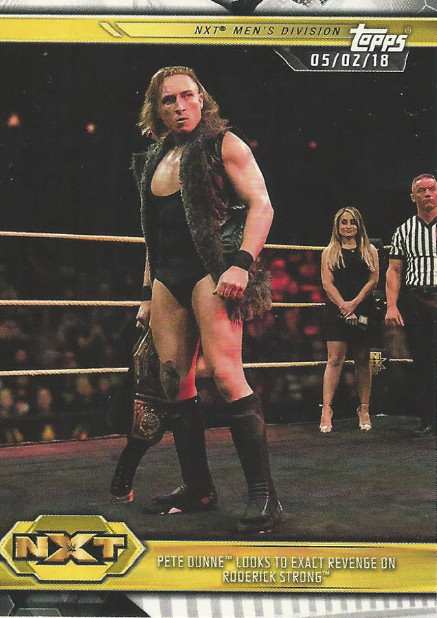 WWE Topps NXT 2019 Pete Dunne #22