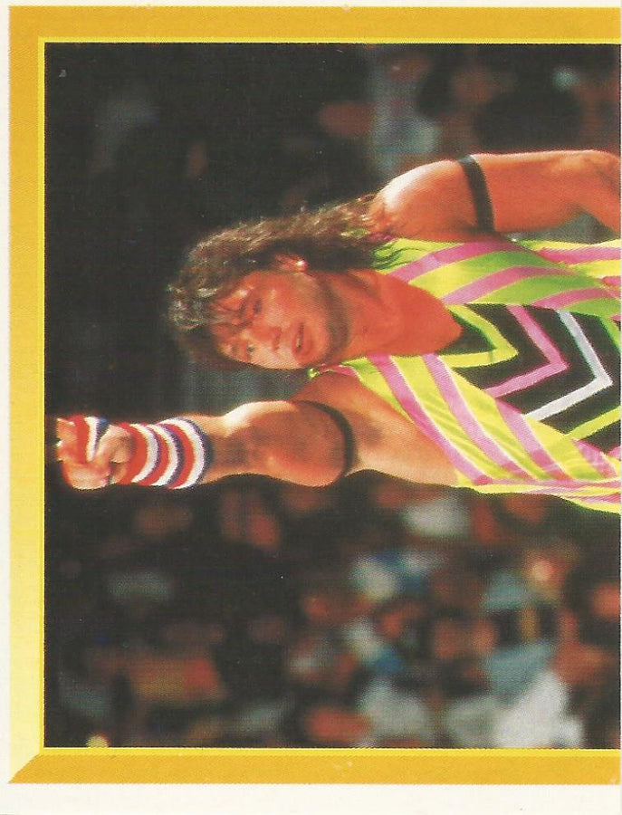 WWF Merlin Sticker 1994 Marty Jannetty #122