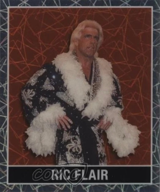 RIC Flair trading card PW Catalog