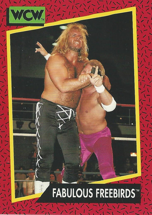 WCW Impel 1991 Michael PS Hayes #123