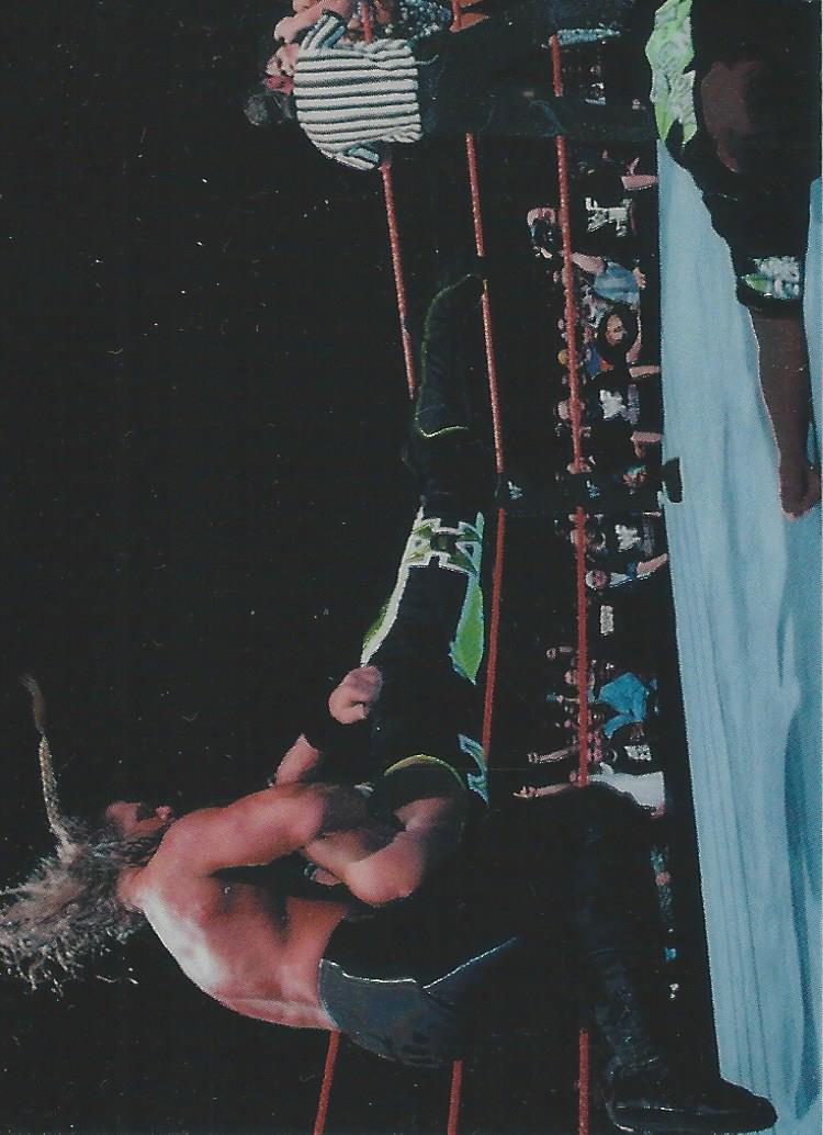 WWF Smackdown Chrome 1999 Triple H #75