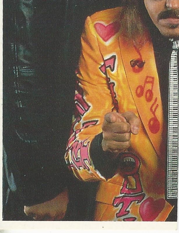 WWF Merlin Stickers 1991 Nasty Boys #123