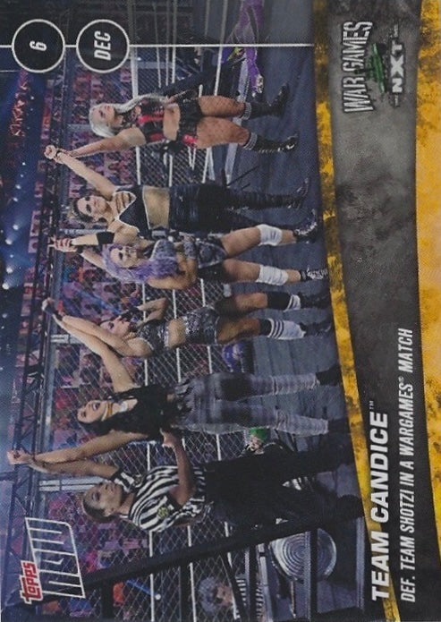 Team Candice DEF. Team Shotzi in a Wargames Match