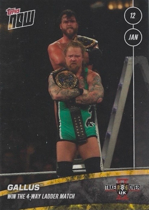 Gallus Win the 4-WAY Ladder Match