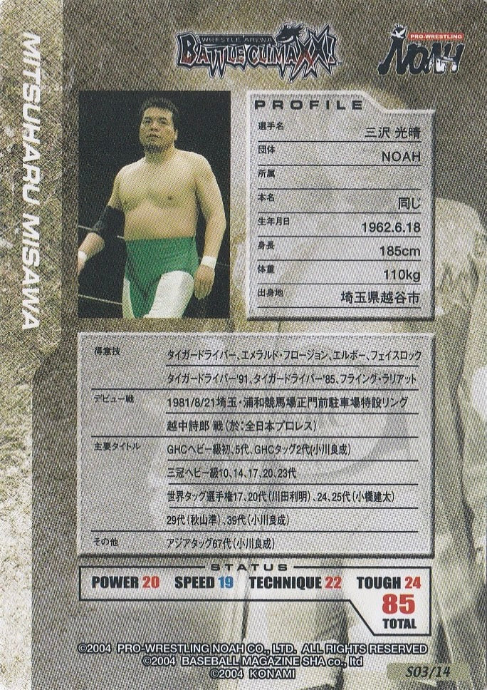 Mitsuharu Misawa