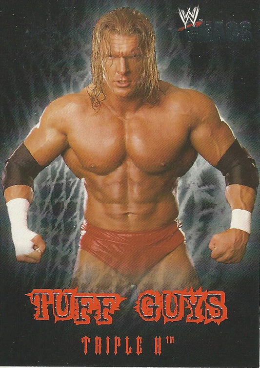WWE Fleer Chaos 2004 Triple H TE 3 of 12 trading card PW Catalog