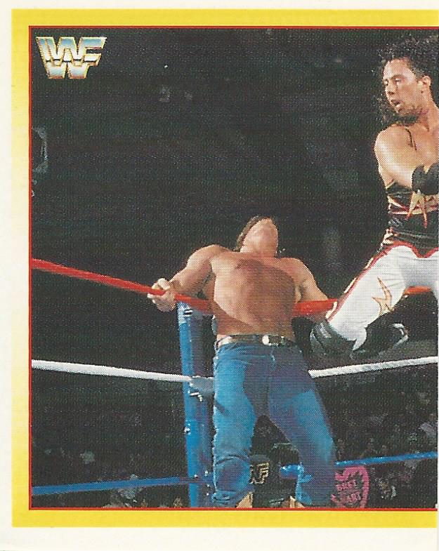 WWF Merlin Stickers 1995 123 Kid #125