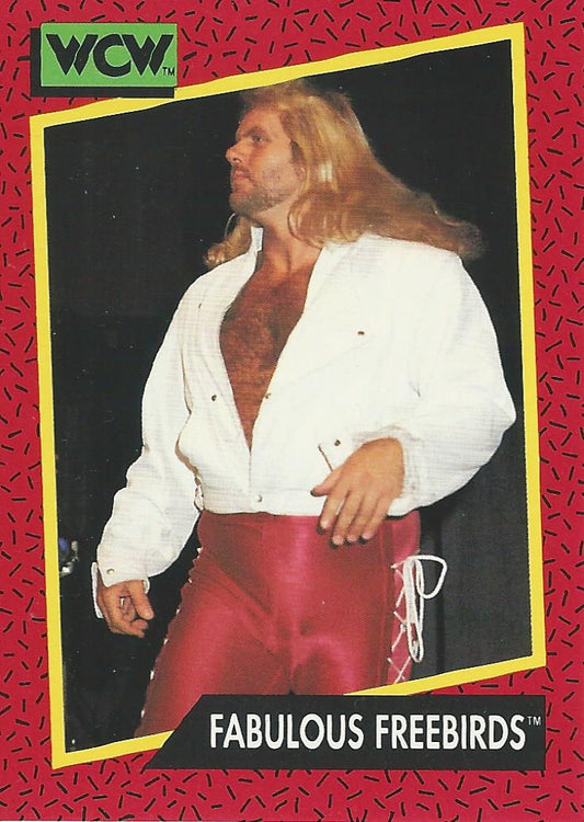 WCW Impel 1991 Michael PS Hayes #125