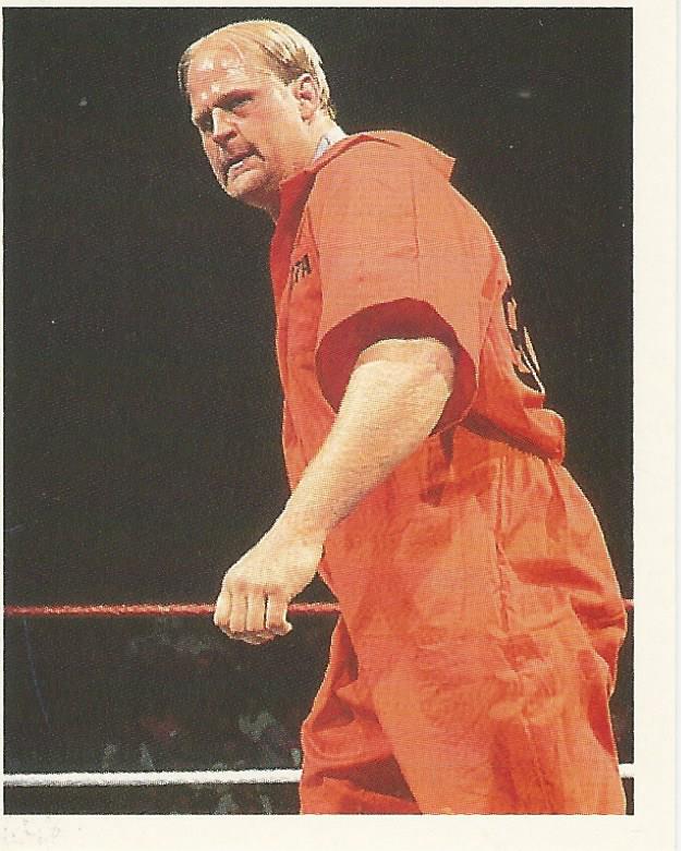 WWF Merlin Stickers 1992 Nailz #125