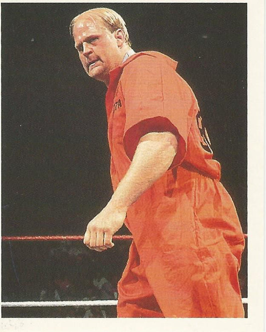 WWF Merlin Stickers 1992 Nailz #125