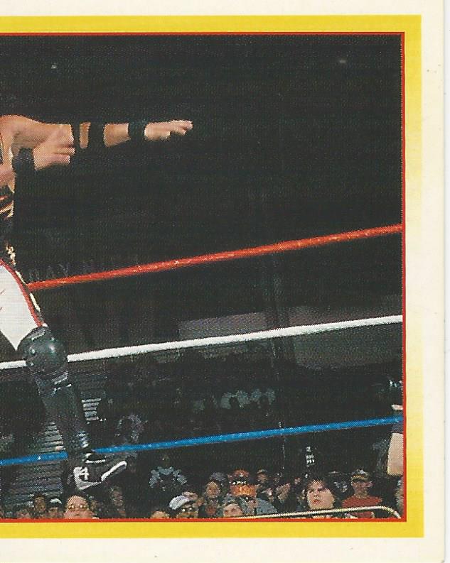 WWF Merlin Stickers 1995 123 Kid #126