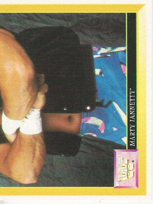 WWF Merlin Sticker 1994 Marty Jannetty #126