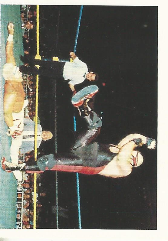 WCW Euroflash 1992 Sticker Vader #126