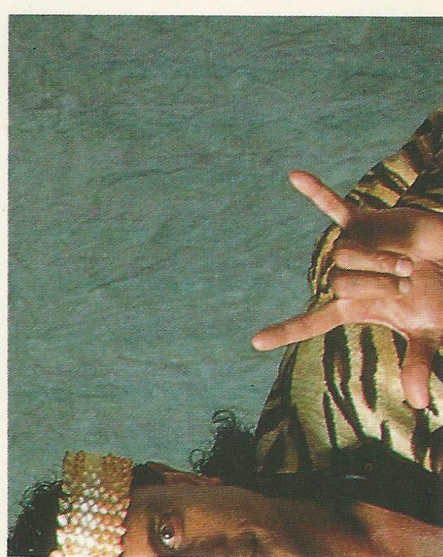 WWF Merlin Sticker Collection 1990 Jimmy Snuka #127