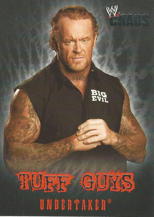 WWE Fleer Chaos 2004 Undertaker TE 5 of 12 trading card PW Catalog
