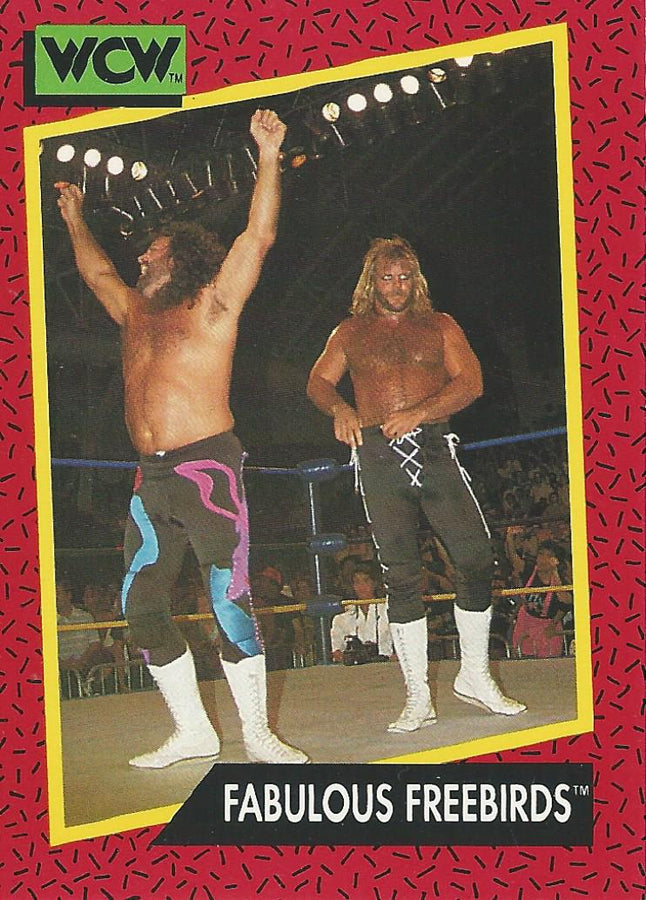 WCW Impel 1991 Michael Hayes and Jimmy Garvin #127