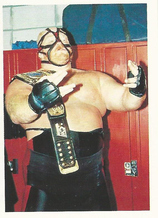 WCW Euroflash 1992 Sticker Vader #127