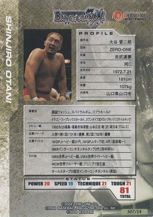 Shinjiro Otani - image 2