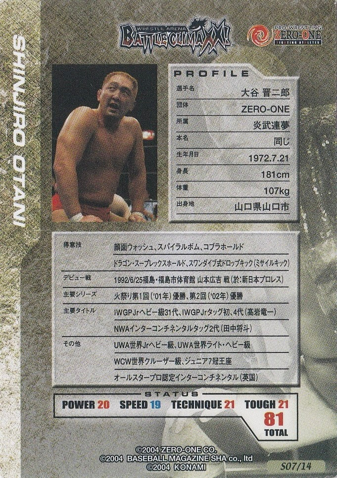 Shinjiro Otani - image 2