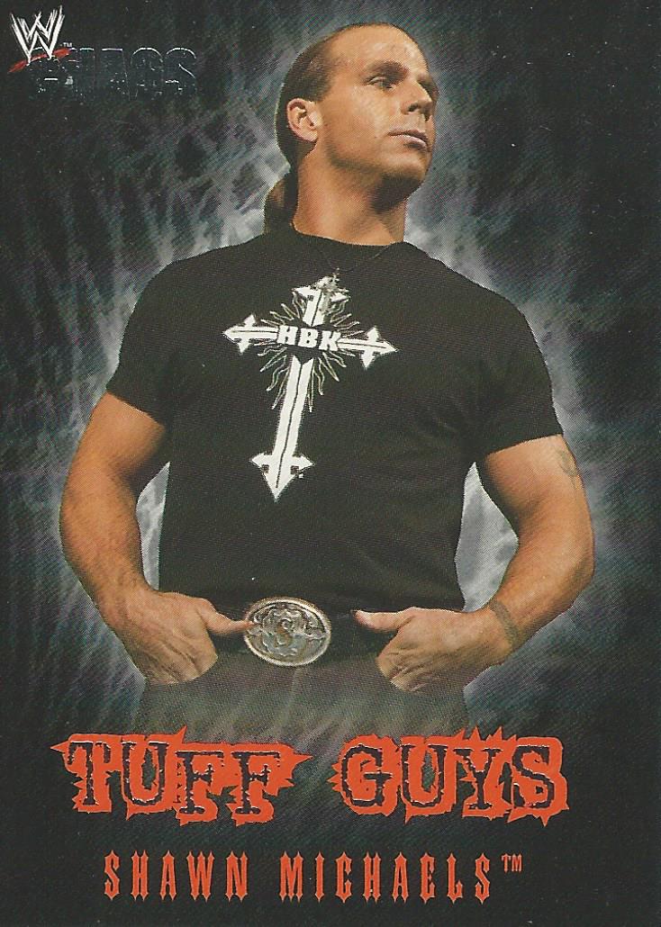 WWE Fleer Chaos 2004 Shawn Michaels TE 6 of 12 trading card PW Catalog