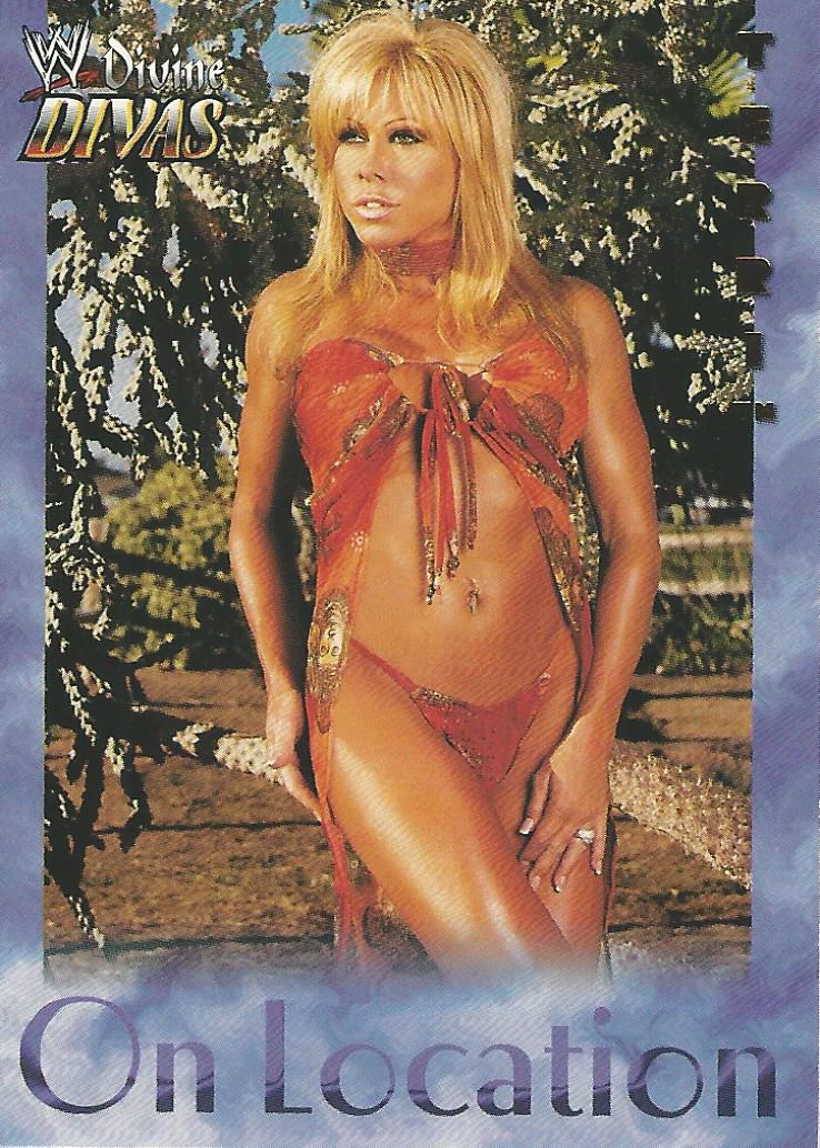 WWE Fleer Divine Divas 2003 Terri Runnels OL 11 of 16 trading card PW Catalog