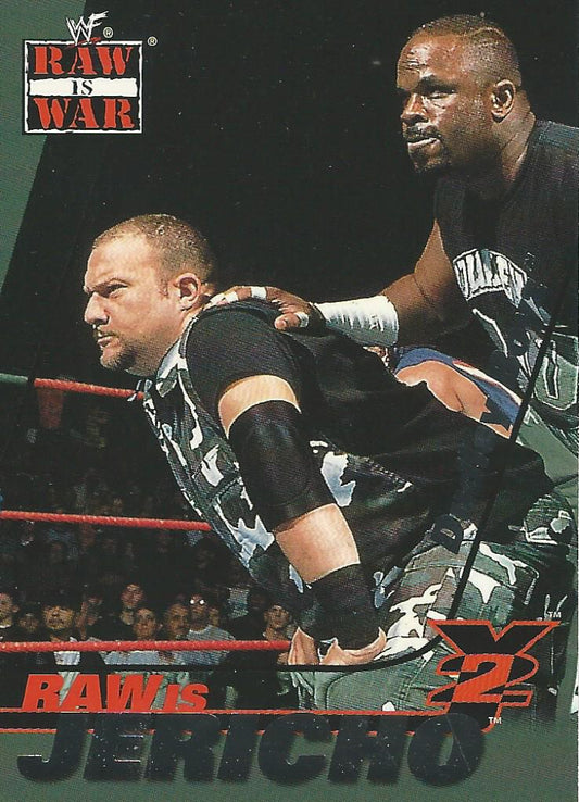WWF Fleer Raw 2001 Dudley Boyz 11 of 15 trading card PW Catalog